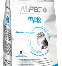 Nupec Felino Kitten
