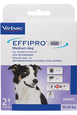 EFFIPRO DUO PERRO