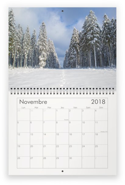 Miniature : Calendrier mural agenda 2018