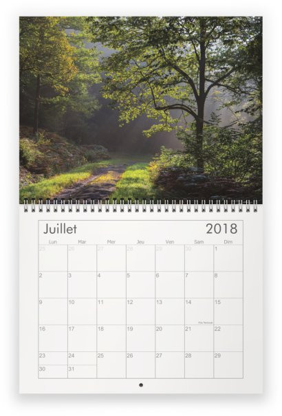 Miniature : Calendrier mural agenda 2018