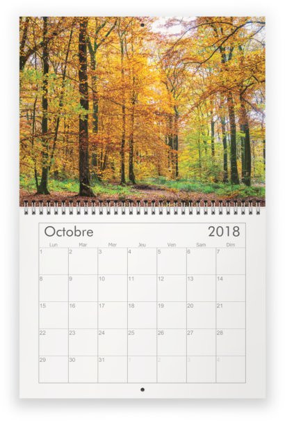 Miniature : Calendrier mural agenda 2018