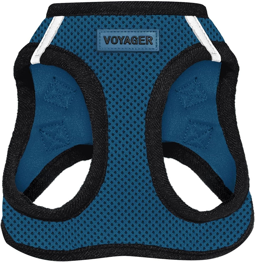 Thumbnail: Best Pet Supplies Voyager Step-in Air Harness - All Weather Mesh, Reflective, N