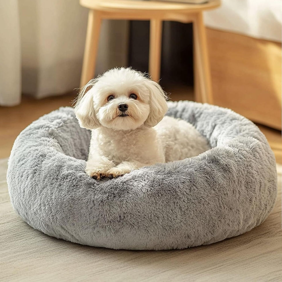 Thumbnail: JOLLYVOGUE Dog & Cat Bed, Calming Anti-Anxiety Pet Bed for Small Dogs, Fluffy D