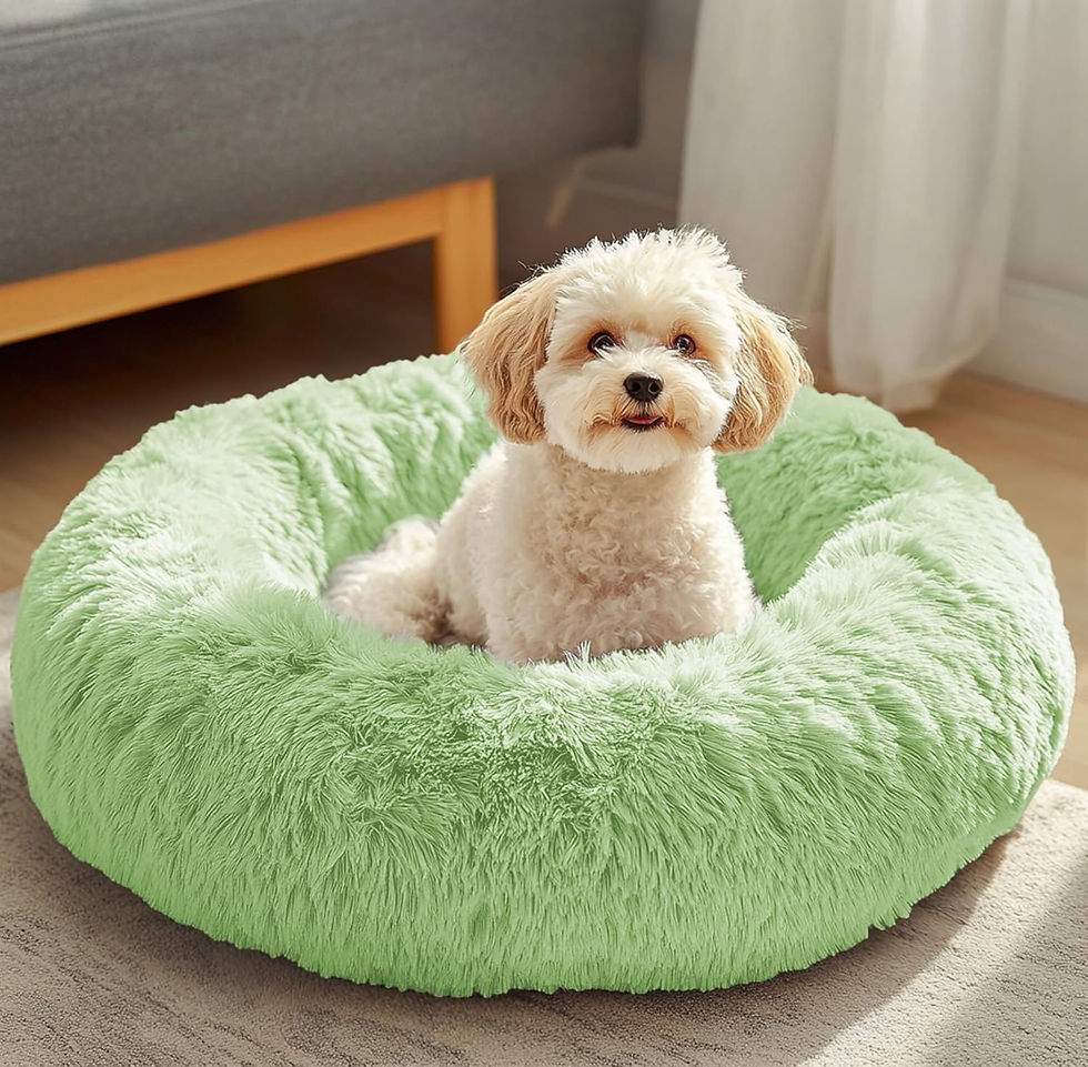 Thumbnail: JOLLYVOGUE Dog & Cat Bed, Calming Anti-Anxiety Pet Bed for Small Dogs, Fluffy D