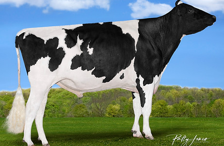 Rasberry Maxl ET.jpg