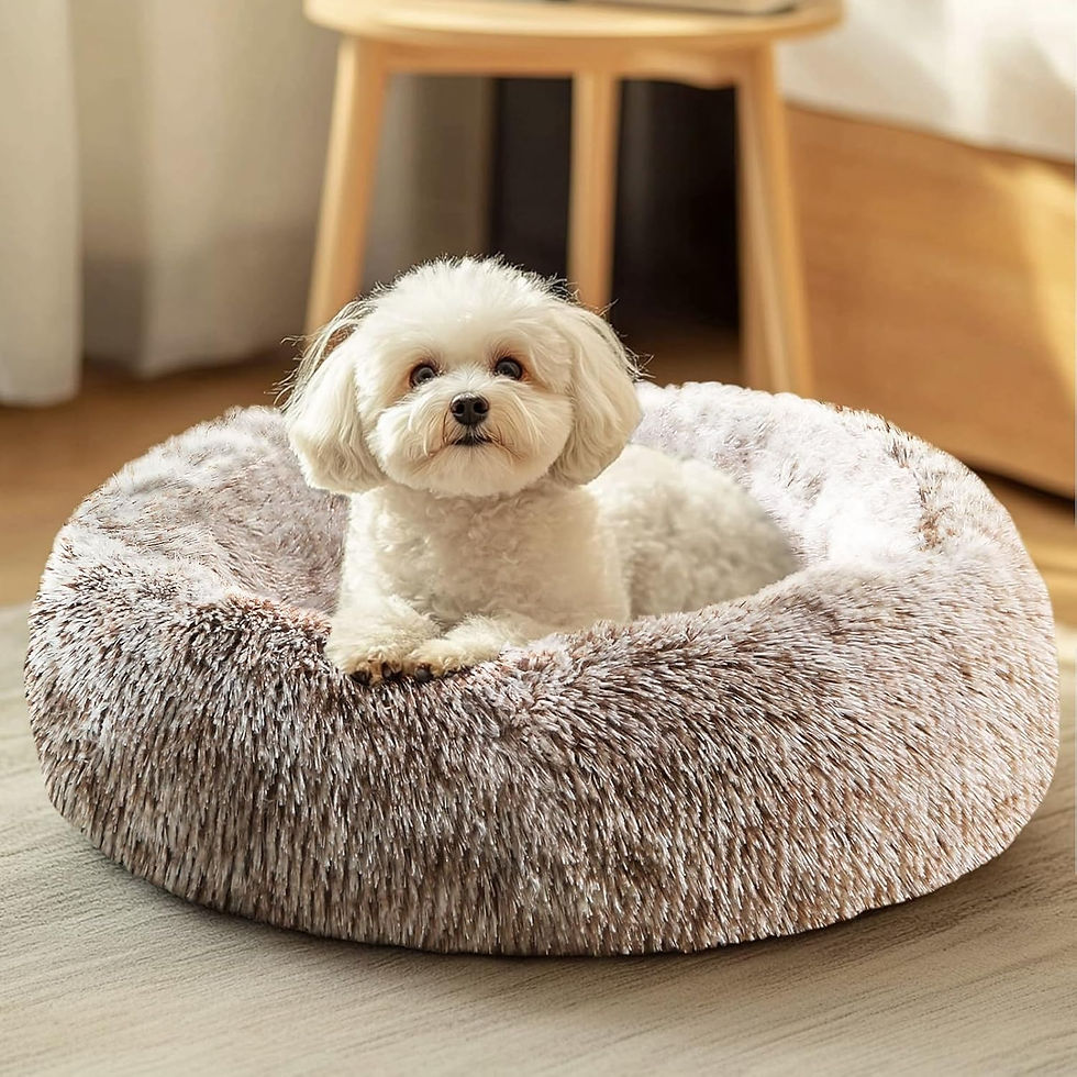 Thumbnail: JOLLYVOGUE Dog & Cat Bed, Calming Anti-Anxiety Pet Bed for Small Dogs, Fluffy D