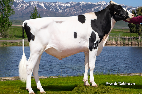 Siemers Mv Palish-ET.png