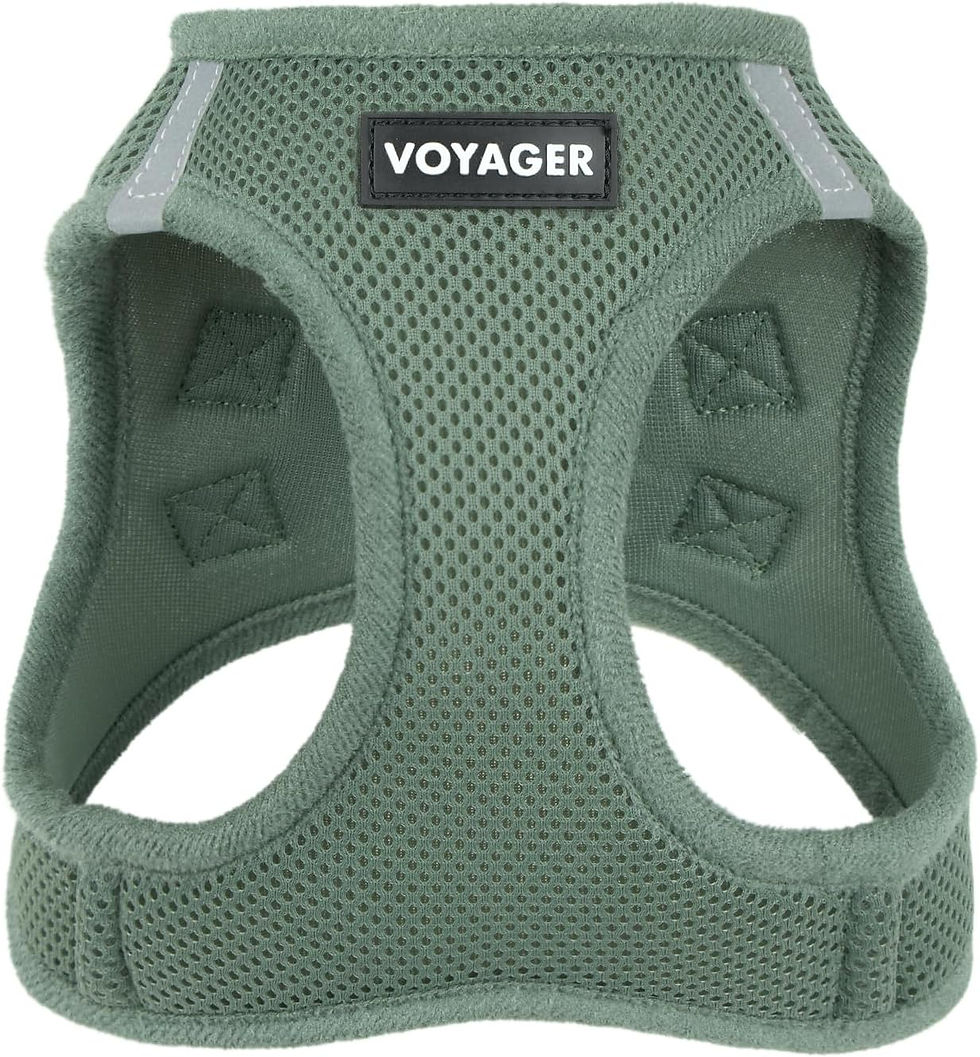 Thumbnail: Best Pet Supplies Voyager Step-in Air Harness - All Weather Mesh, Reflective, N