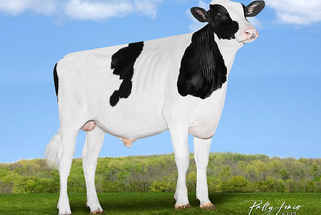 TROP THREE QUARTER FRONT VJC.jpg