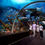 Thumbnail: S.E.A. Aquarium