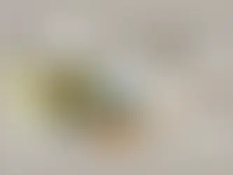 השלבים של ניקוי מחלות בגוף