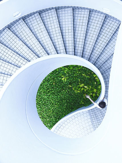 Stone%20Spiral%20Staircase_edited.jpg