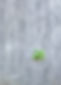 green%20leaves%20on%20gray%20concrete%20floor_edited.jpg