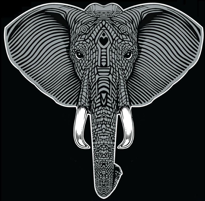 Dont Stop loving Elephants