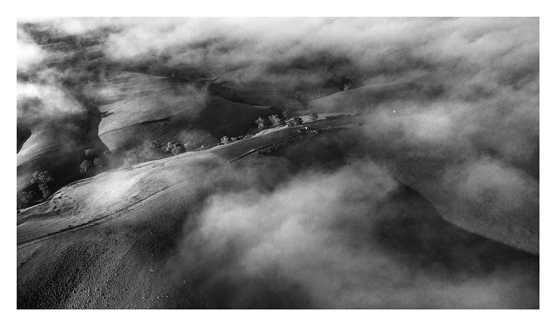 Jacob's Creek Steingarten Vineyard, Barossa - South Australia