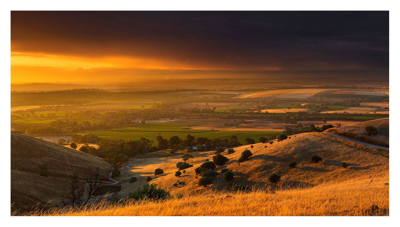 After The Storm, Barossa Valley (II)