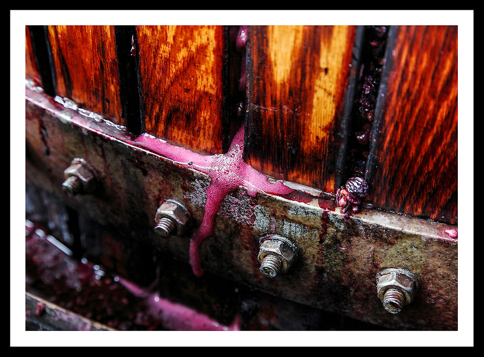 Rockford Basket Press (5)