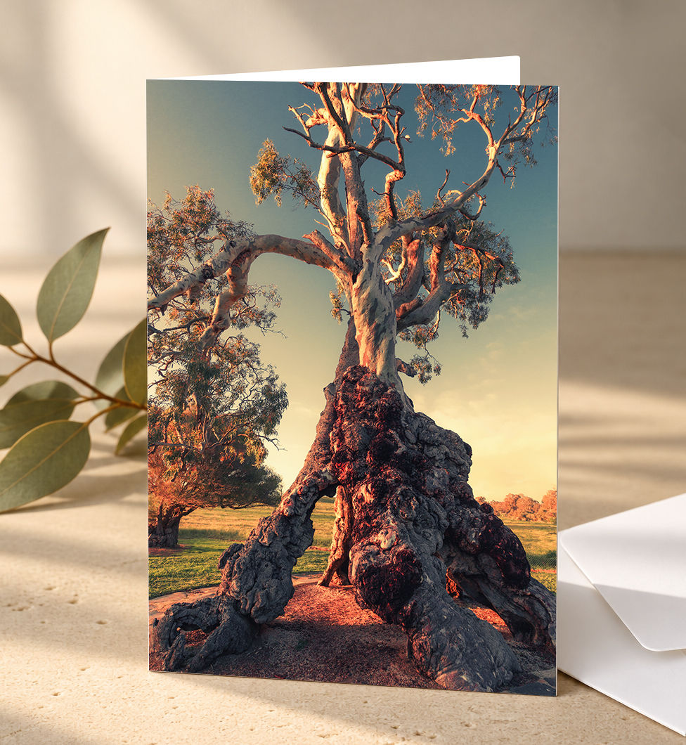 'The Herbig Family Tree' - Pack of 10 Greeting Cards