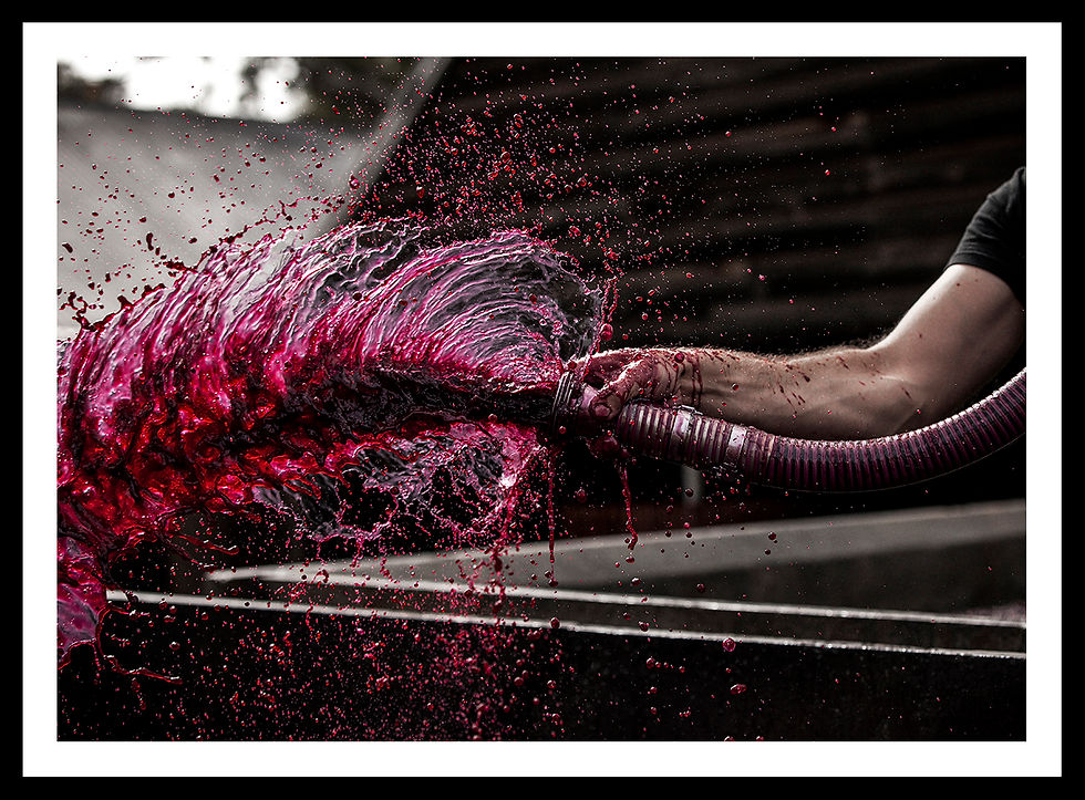 Pump - Overs, Rockford - Barossa Valley (5)