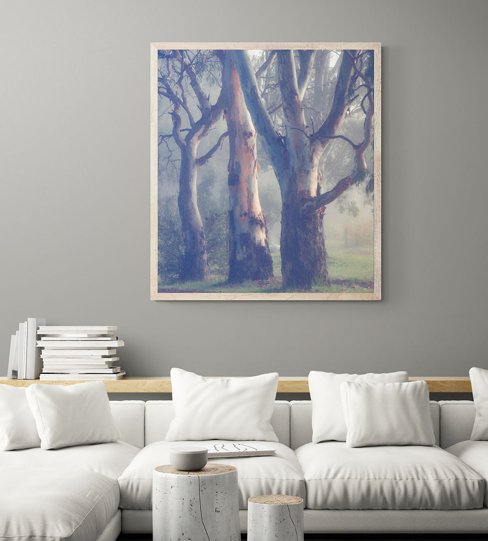 Thumbnail: Three Gums, Tanunda - Barossa Valley