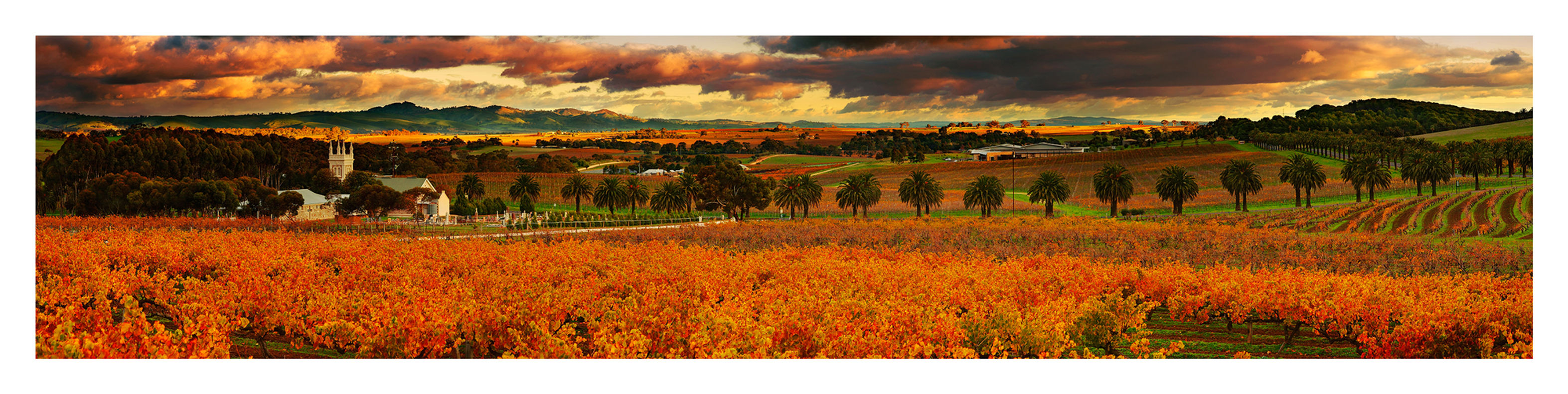 Freed By The Grace of God - Marananga, Barossa Valley