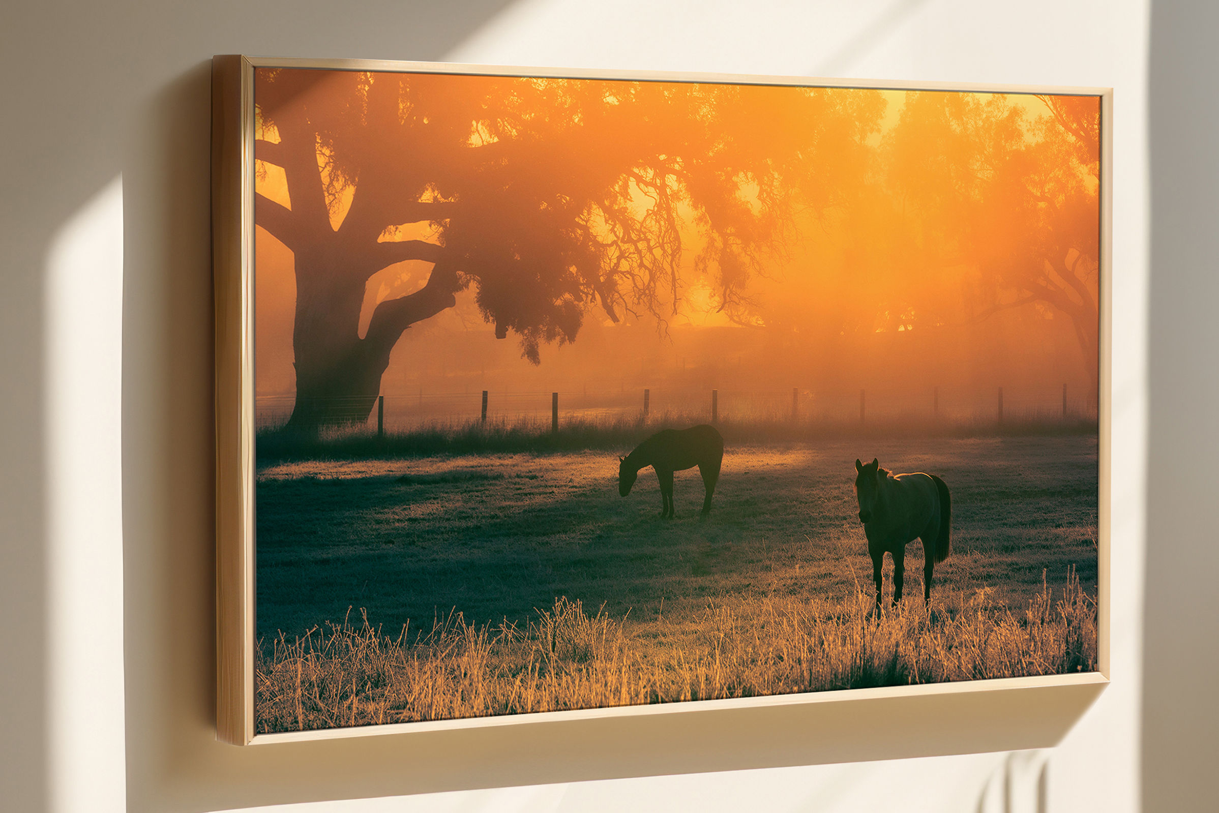 Horses at Sunrise, Eden Valley