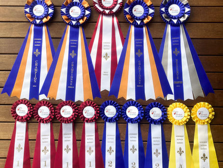 Alpaga Québec 2024 Show Results