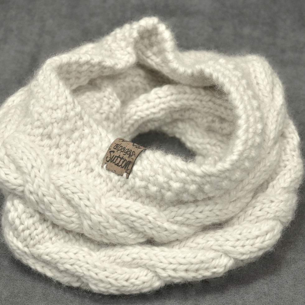 Thumbnail: Mistassini Cowl