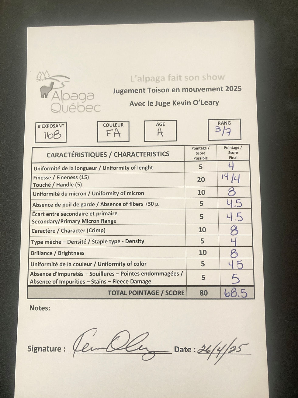 Une superbe carte de pointage pour Symphony, notre femelle juvénile fauve, dans le jugement de Toison ! Une 3e place parmi de la compétition féroce !
