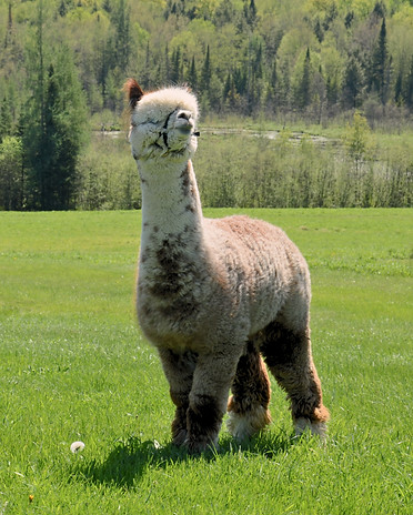 DSC_8853_ed2.jpg