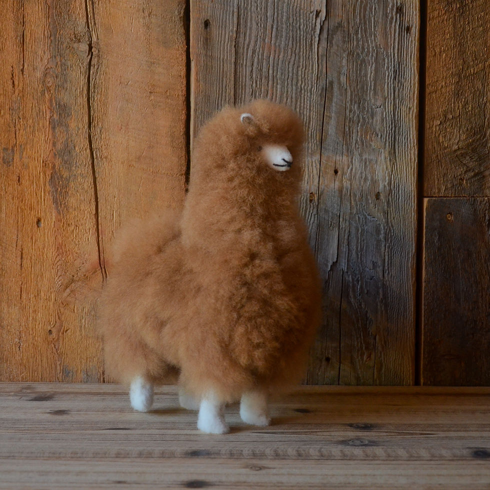 Thumbnail: Furry Alpacas
