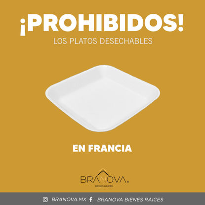 🟤FRANCIA PROHÍBE LOS PLATOS DESECHABLES