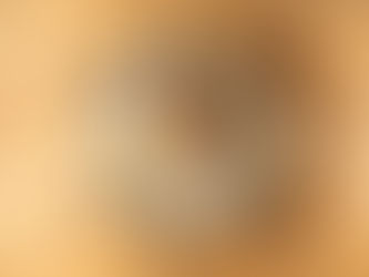 El Puertito OYSTER BAR en casa: las mejores ostras con champagne, una combinación imbatible para disfrutar esta Navidad