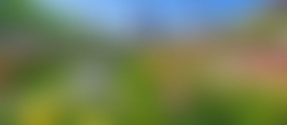 Alcalá con Nebrija en 2022