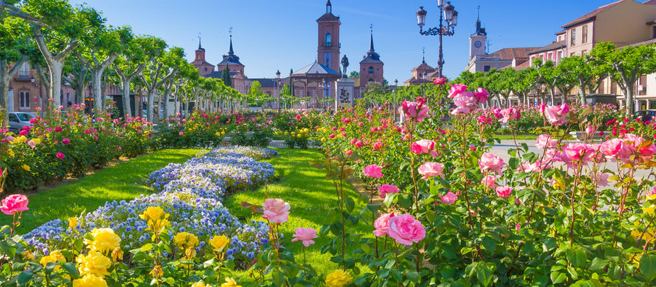 Alcalá con Nebrija en 2022
