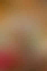 Shangrilá Dimsum Bar