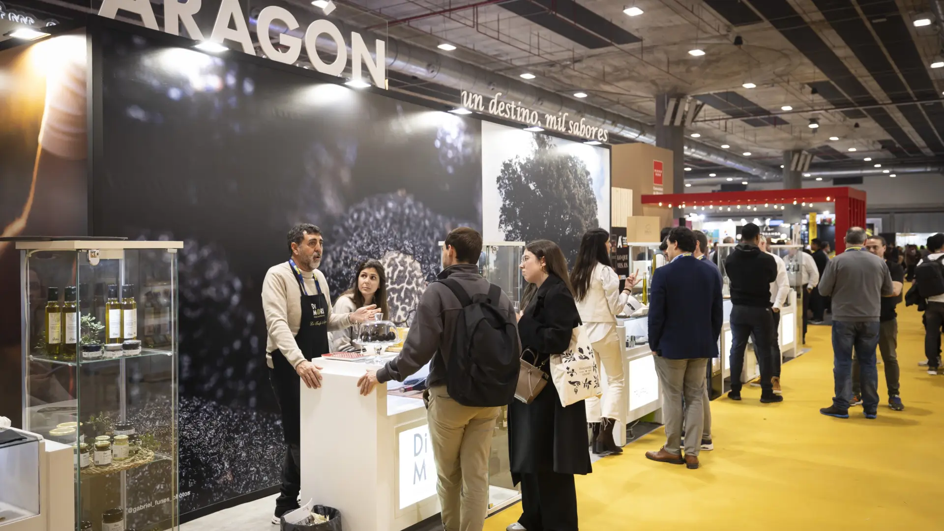 Huesca viaje de aventura