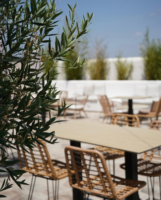 Abarka restaurante