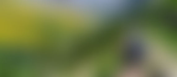 "No vengas a Huesca". Pero sí fuimos…