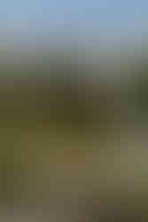 Restaurante La Lonja del Mar