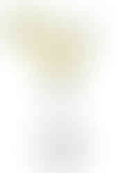 Afterlight Le Club Sushita