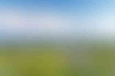 Formentera te enamora