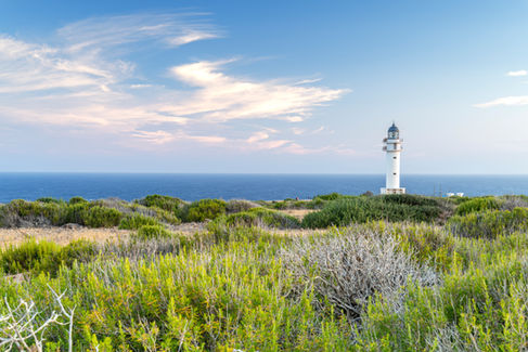 Formentera te enamora