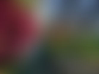 Asia Gardens Hotel & Thai Spa: una Semana Santa en un paraíso asiático junto al Mediterráneo