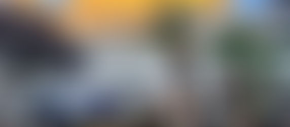 Hotel Princesa Plaza Madrid