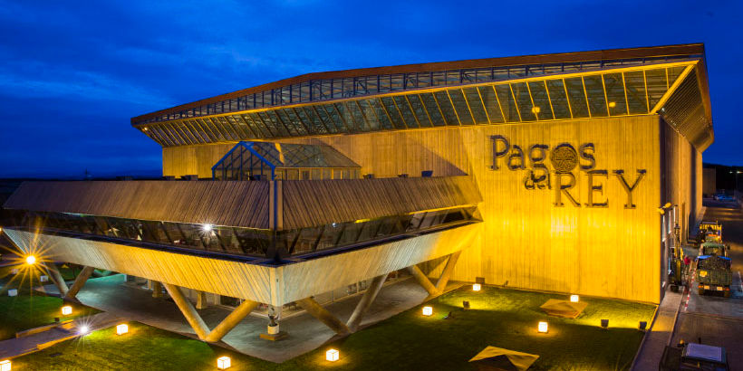 Ruta del vino Ribera del Duero