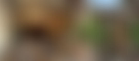 'Grillao' cocina honesta a fuego en el corazón de Chamberí