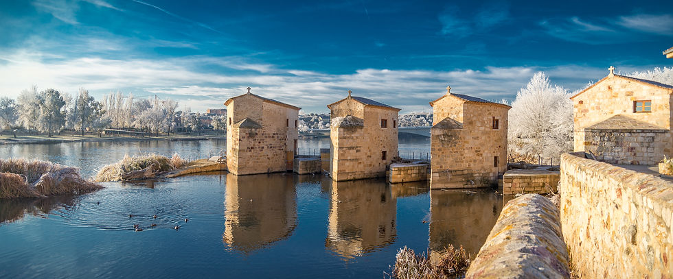 Las Aceñas del Duero, Zamora