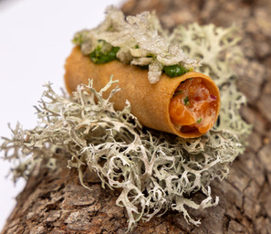 Concurso de Pinchos y Tapas de Castilla y León