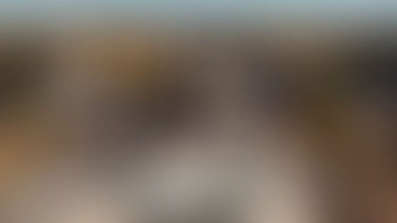 Turismo de Ibiza cierra su participación en Madrid Fusión 2026 con un homenaje a la cocina payesa de la mano de Oleoteca Ses Escoles